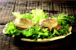 SALADE LEGERE DE CHEVRES CHAUDS AU MIEL D’ACACIA LUNE DE MIEL ®  